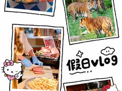 -济南喜来登酒店