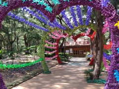 -北海金海湾红树林生态旅游区