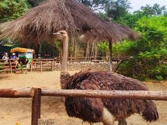 -北京野生动物园