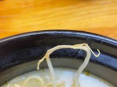 -金陵杨胖子·砂锅麻辣烫(金轮新天地店)