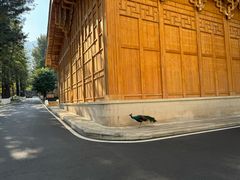 -西昌邛海宾馆