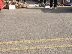 -团泊镇示范集贸市场