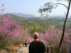 -天台山赤城山景区