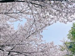 -白塘生态植物园