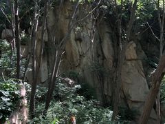 -大岭沟猕猴桃谷风景区