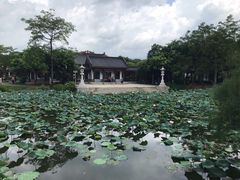 -惠州西湖丰渚园