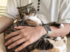 -平行世界·猫咖(首经贸店)