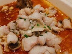桂鱼炖蛋-顺风海鲜港(金玉兰店)