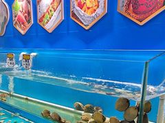 -高家烧鸽子烧烤店63年