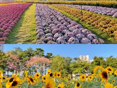 -海心沙亚运公园