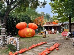 -HERRE·FARM 赫尔露营农场·团建聚会包场