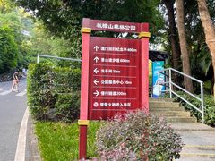 -板樟山森林公园