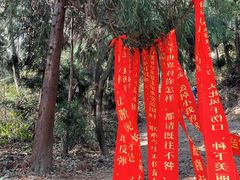 -寂照庵