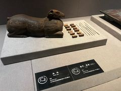 -仪征博物馆