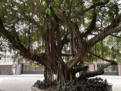 -梁启超故居纪念馆