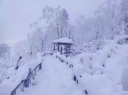 -大秃顶子山