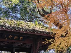 -杭州半山国家森林公园