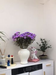 -WENDY·温迪皮肤管理