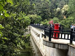 -九龙潭景区