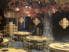 -老凯俚酸汤鱼(多彩城店)