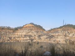 -黄埔油麻山森林公园