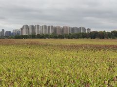 -三圣花乡旅游区