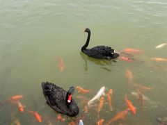 -春晖园度假酒店温泉