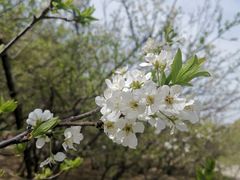-朝阳公园