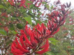 -桤木河湿地公园