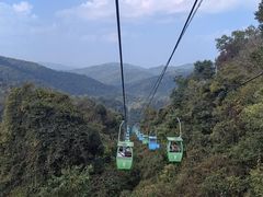 -野象谷景区