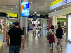 -谢列梅捷沃国际机场