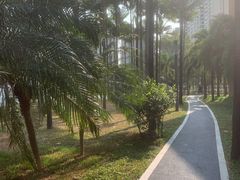 -四海公园(南山区)