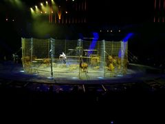 -珠海横琴长隆《卡卡虎奇遇记》