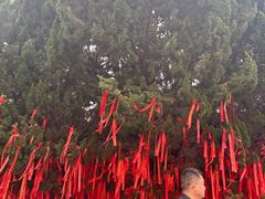 -中国翰园碑林