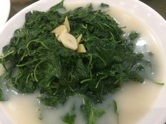 -寻味顺德·南记酒家·传统顺德菜·鱼生(广源路店)