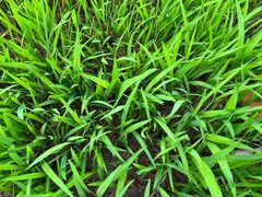 -千龙湖生态旅游度假区