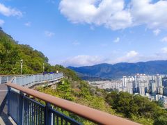 -金鸡山公园