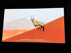 -罗红摄影艺术馆