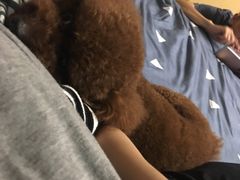 -严国平动物医院(德政总院)