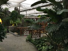 -汤山翠谷生态餐厅
