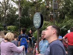 -奥兰多迪士尼动物王国乐园