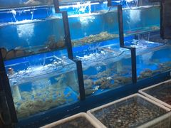 水产区-老东镇啤酒屋海鲜加工·蒸汽海鲜·海鲜烧烤(台东店)