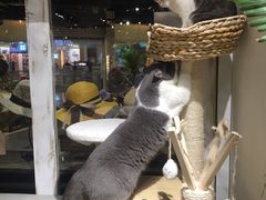 -小时光咖啡馆(开森度假森林店)