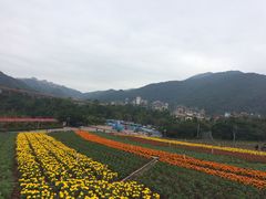 -东部华侨城