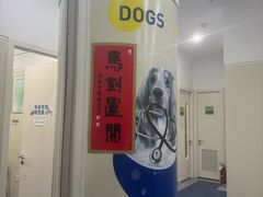 -佩兹宠物医院肿瘤专科·眼科·牙科(黄浦店)