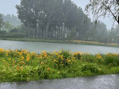 -东郊湿地公园
