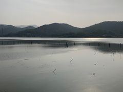 -鸣鹤古镇