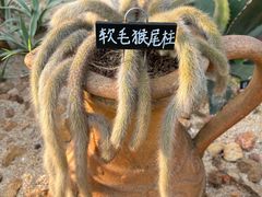 -东莞植物园
