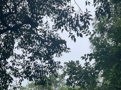 -黔灵山公园