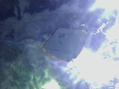 -常州海昌海洋探索馆